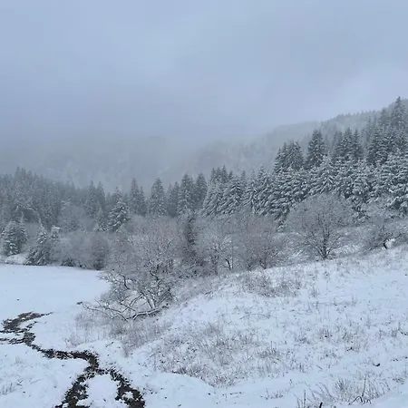 Appartement - Au Coeur Du Lac Blanc Orbey Esterno foto
