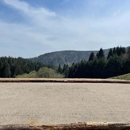 Appartement - Au Coeur Du Lac Blanc Orbey Esterno foto