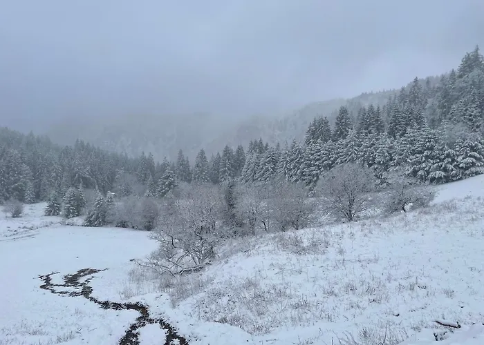 Appartement - Au Coeur Du Lac Blanc